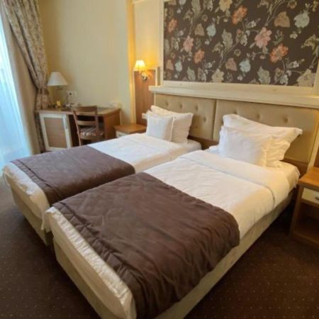 Hotel Leul De Aur Sebes  Ngoại thất bức ảnh