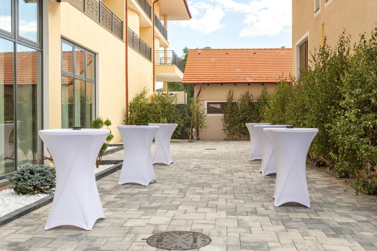 Hotel Leul De Aur Sebes  Ngoại thất bức ảnh