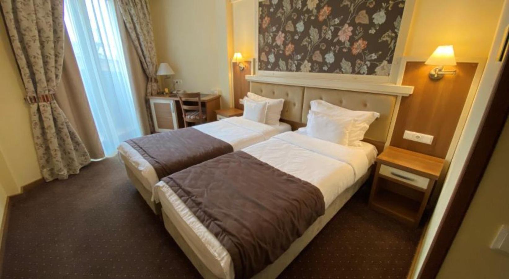 Hotel Leul De Aur Sebes  Ngoại thất bức ảnh