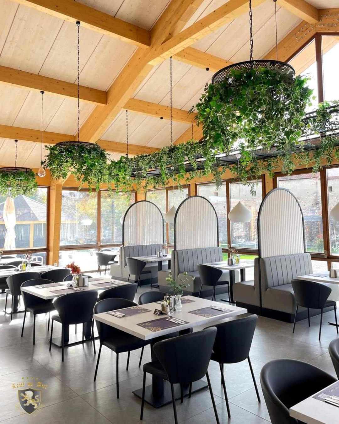 Hotel Leul De Aur Sebes  Ngoại thất bức ảnh