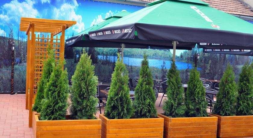 Hotel Leul De Aur Sebes  Tiện nghi bức ảnh